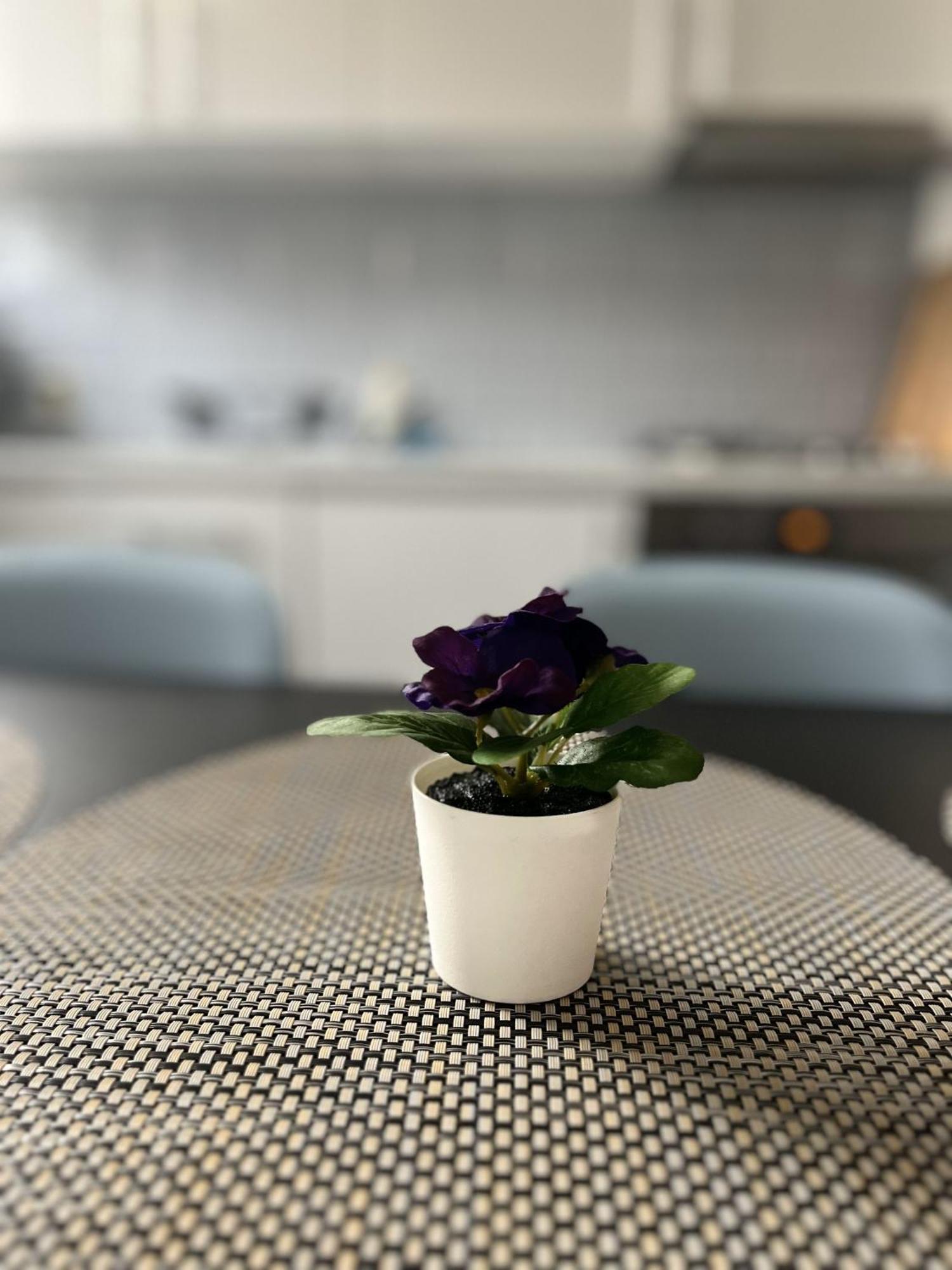 Apartamenty Przy Muzeum 格但斯克 外观 照片